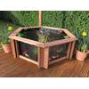 Clear View Garden Aquarium Lily