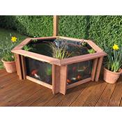 Clear View Garden Aquarium Lily