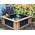 Clear View Garden Aquarium Lotus 