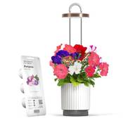 Click & Grow Mini Smart Planter Kit