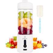 Cokunst Tragbarer Mixer 530 ml Vergleich