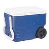 Coleman 40 QT Performance