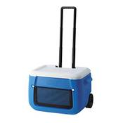 Coleman 2000036081