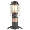 Coleman 2000038028