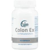 Colon Ex Kapseln