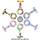 com-four Sparset Schwesternuhr