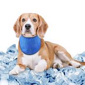 Comfpet Kühlendes Hundehalsband Vergleich