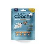 Company of Animals Coachi