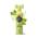 Company of Animals  Pet Head Mucky Pup