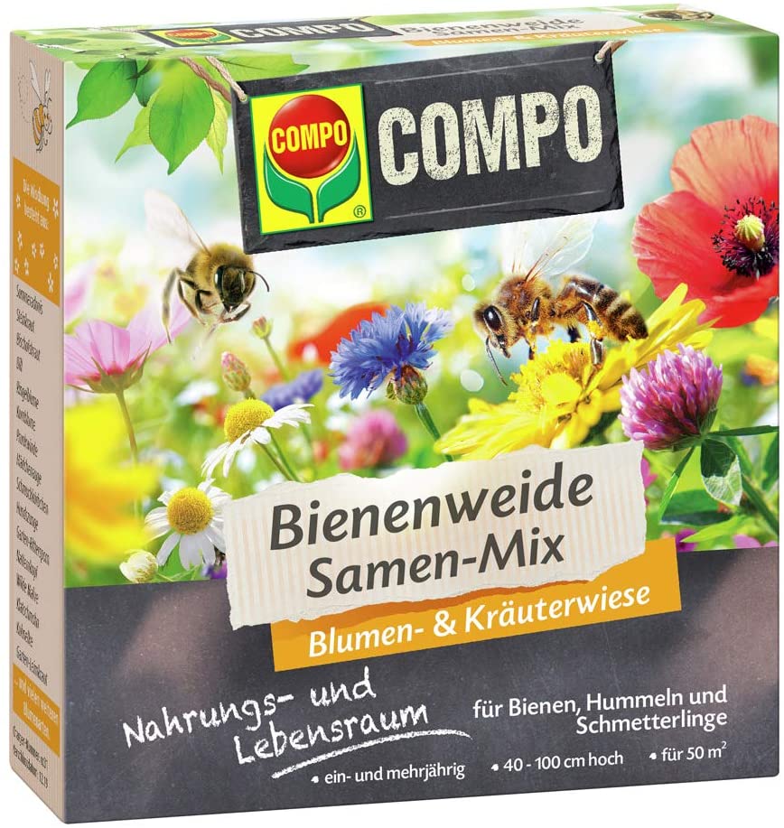 schilf künstlich 10 Stängel pro Bündel 55cm künstliches Pampasgras Schilf – Realistisch –  kunstblumenshop main image 0