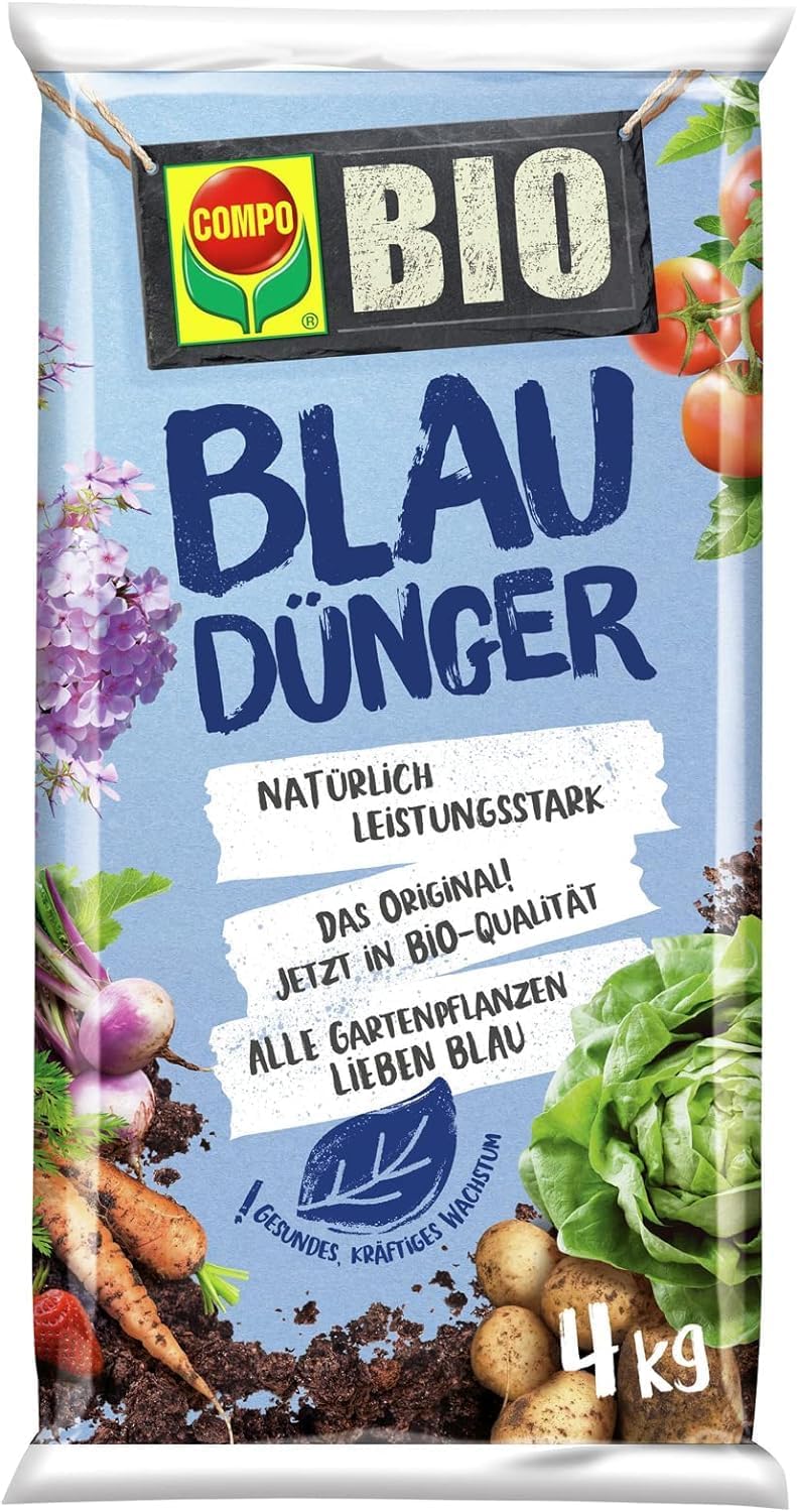 Blaudnger Test & Vergleich  Top 12 im Juni 2026