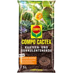 Compo Cactea 11221