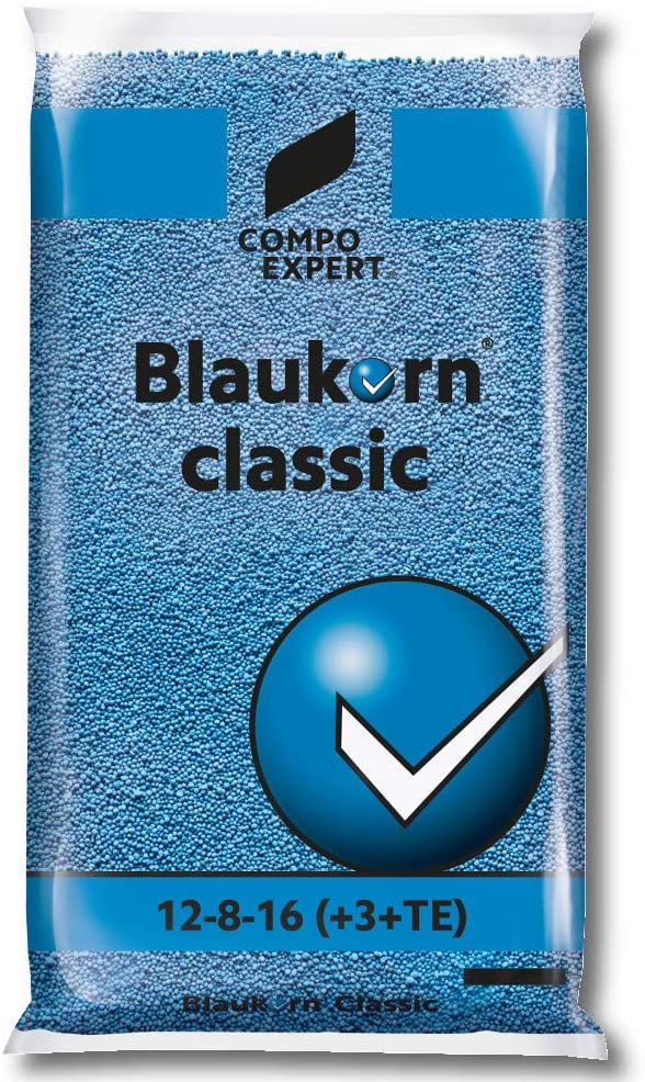 Blaudnger Test & Vergleich  Top 12 im Juni 2026