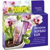 Compo Orchideen-Aufbaukur