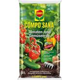 demeter saatgut kaufen BIO Saatgut Tomaten-Garten – Biogartenladen main image 1