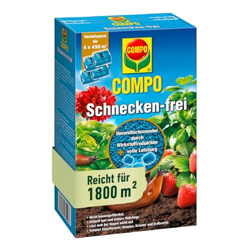 saatgut samenfest kaufen Saatgut Mix 