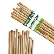 Control Garden Bambusstäbe Vergleich