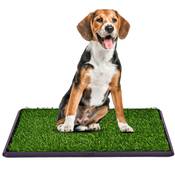 Costway Hundetoilette Vergleich