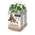 COSYPET Einstreu Pellets