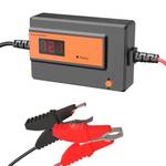 Cptdcl Automatischer Batterie Desulfator