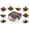 Creano Teeblumen