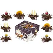 Creano Teeblumen