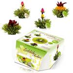 Creano Teelini Teeblumen