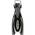Cressi Frog Plus