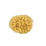 Croll & Denecke Naturschwamm  M080