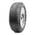 Cst Medallion Winter WCP1