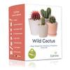 Cultivea Kaktus-Set