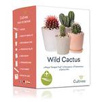 Cultivea Kaktus-Set
