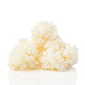 Curly Superfood Kefirpilz Vergleich