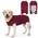 Cyponpy Hundebody nach OP