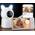 Czeview Babyphone mit Kamera ZY-BY6
