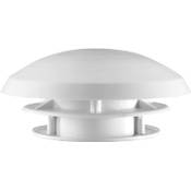 Caralife Pilzlüfter 145725342