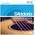 D'addario EJ16