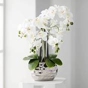 Dahlia Studios Kunstpflanze Orchidee