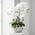 Dahlia Studios Kunstpflanze Orchidee