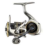 Daiwa Airity LT 1000D