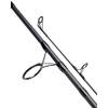 Daiwa Black Widow XT Carp