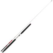 Daiwa Sealine X'Treme Interline 