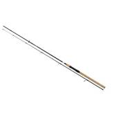 Daiwa Spinnrute