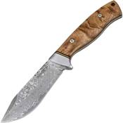 Parforce Ingrata