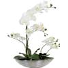 Daro Deko Kunst-Pflanze Orchidee