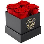 Datefun Rosenbox Vergleich