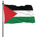 DBXAU Palästina-Flagge