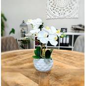 Decoline Künstliche Orchidee Vergleich