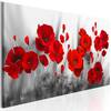 decomonkey Akustikbild Blumen Mohnblumen rot 120x40 cm