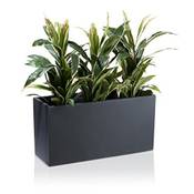 Decoras 101766 Vergleich